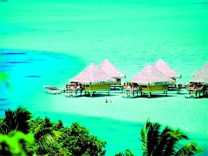 ���R������������{ɫ������